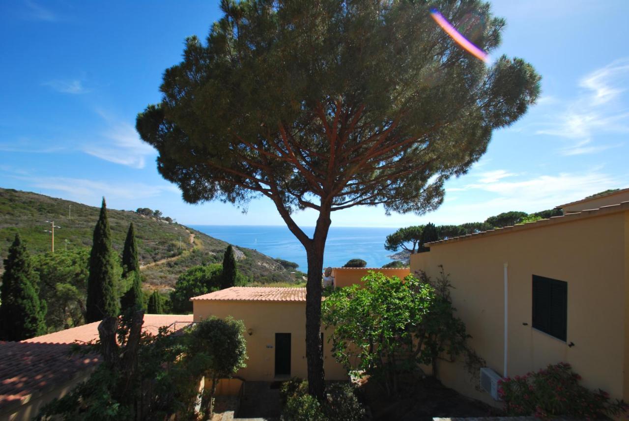 Grotta Azzurra Apartment - Cavoli - Terrazza Vista Mare, Clima E Parcheggio San Piero in Campo  Eksteriør billede